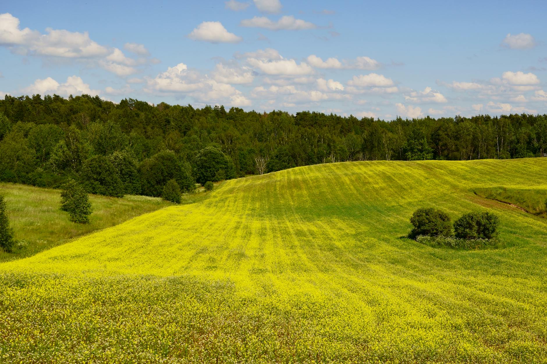Kaip Lietuvos naujienų portalai formuoja viešąją nuomonę: algoritmai, redakcinis pasirinkimas ir skaitytojų manipuliavimas